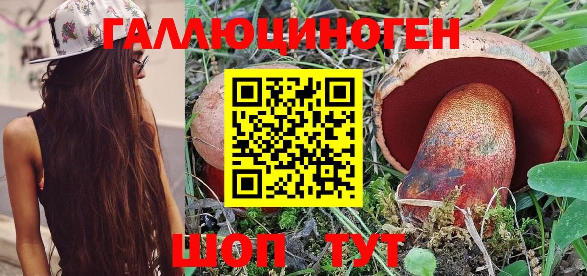 Черняховск  Галлюциногенные грибы MAGIC MUSHROOMS  Вход с VPN 