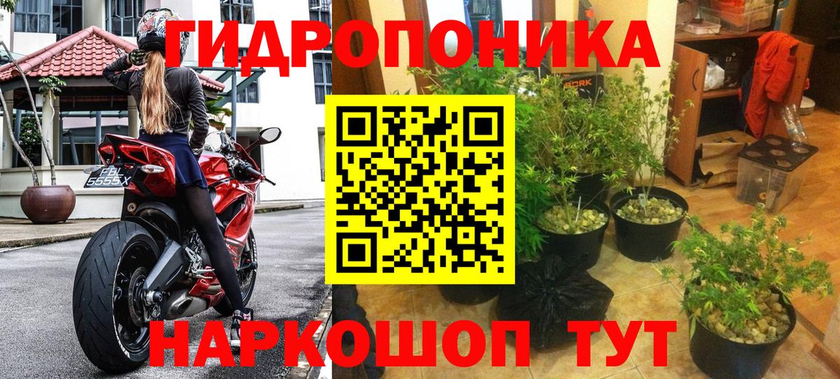 Бошки марихуана планчик Черняховск